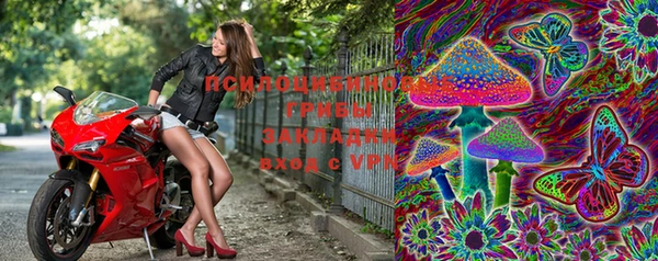 круглые Няндома